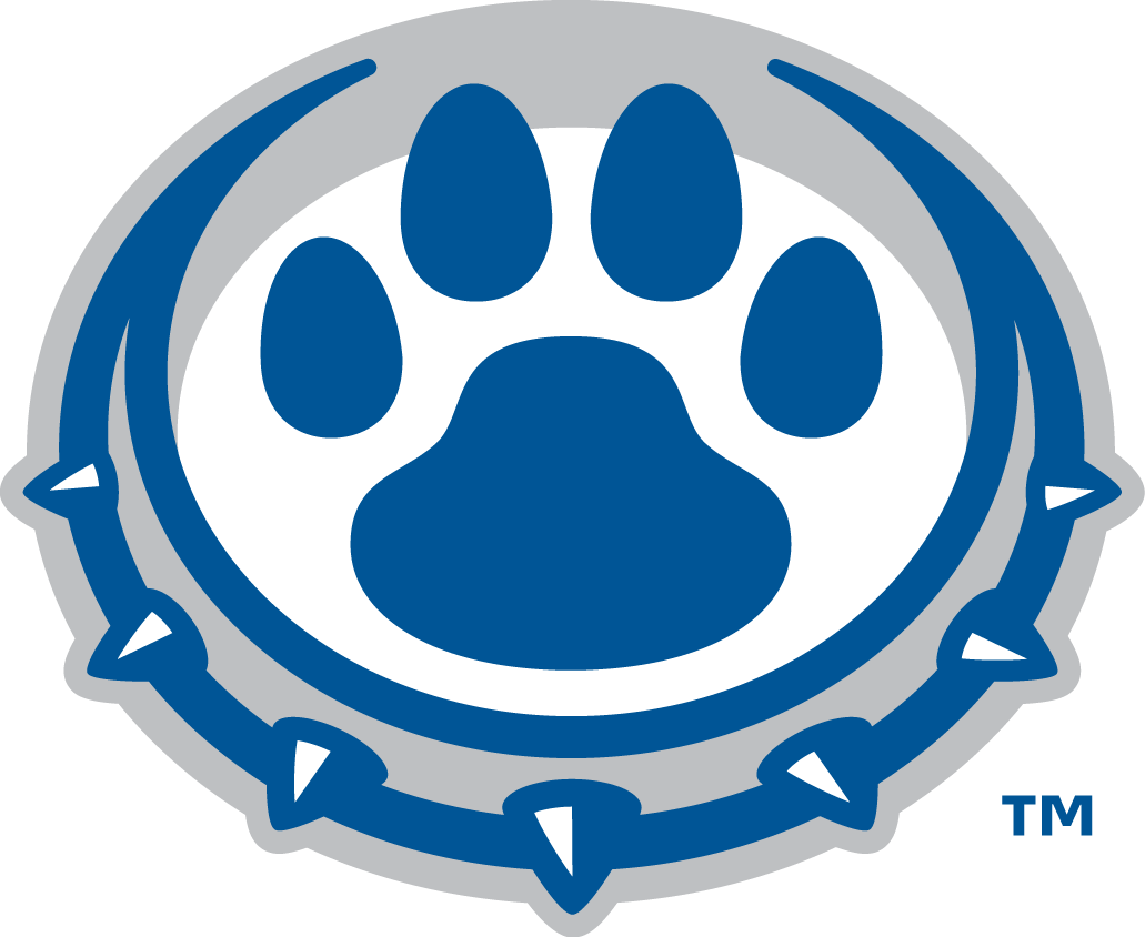 Drake Bulldogs 2015-Pres Alternate Logo diy DTF decal sticker